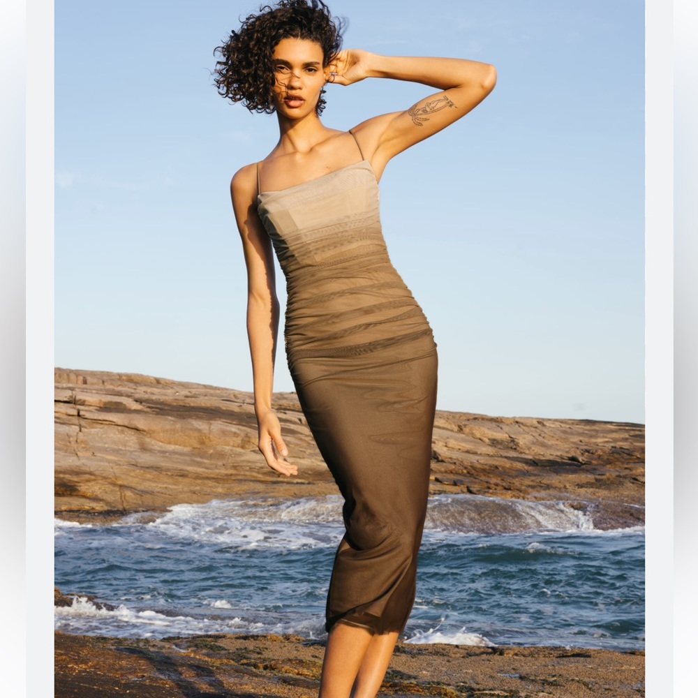 Zara tulle ombré dress